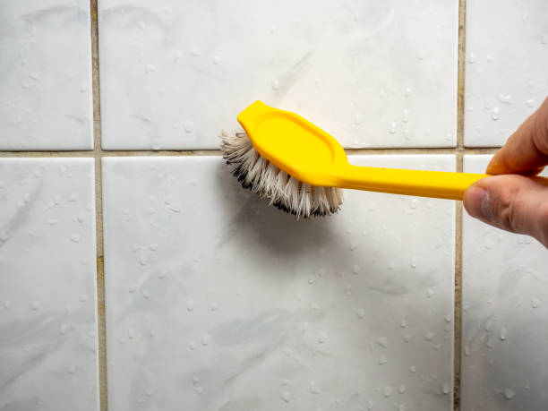 Best Emergency Mold Removal  in Baird, TX
