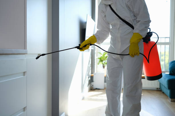 Best Mold Cleaning Services  in Baird, TX