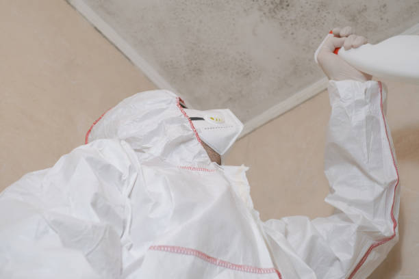 Best Mold Removal Company Near Me  in Baird, TX