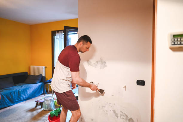 Trusted Baird, TX Mold Removal Experts